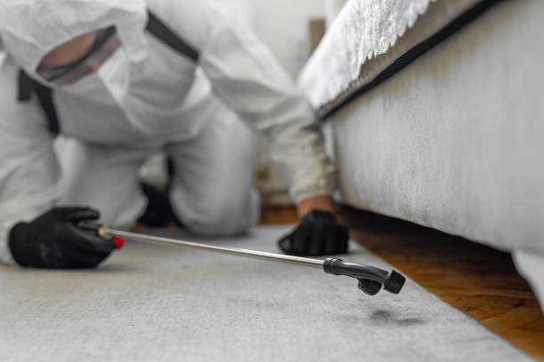 Professional Bed Bug Control technician working in Franklin Park, NJ