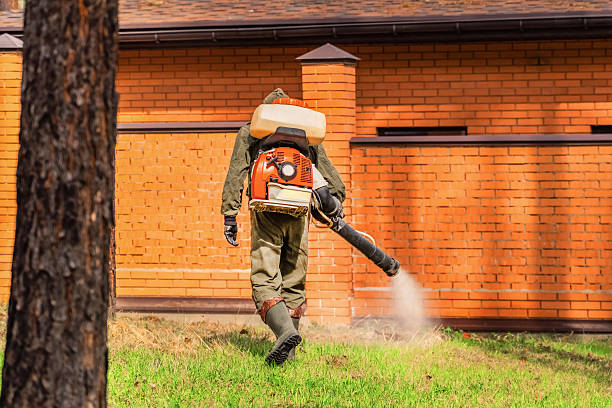 Trusted Cockroach Control service in Franklin Park, NJ - Nex Pest Control